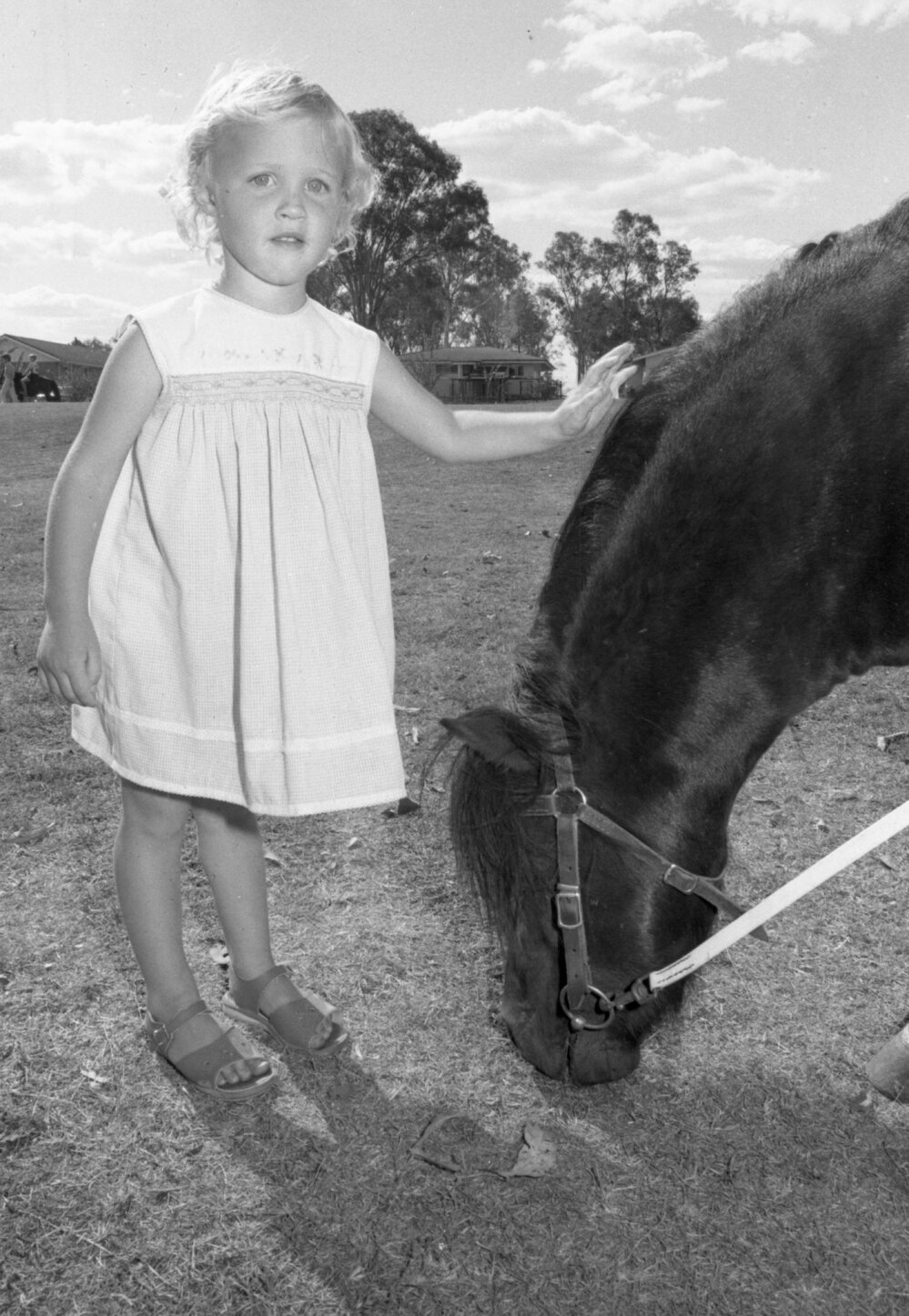 Leichhardt Pre-school fete, Leichhardt, October 1977