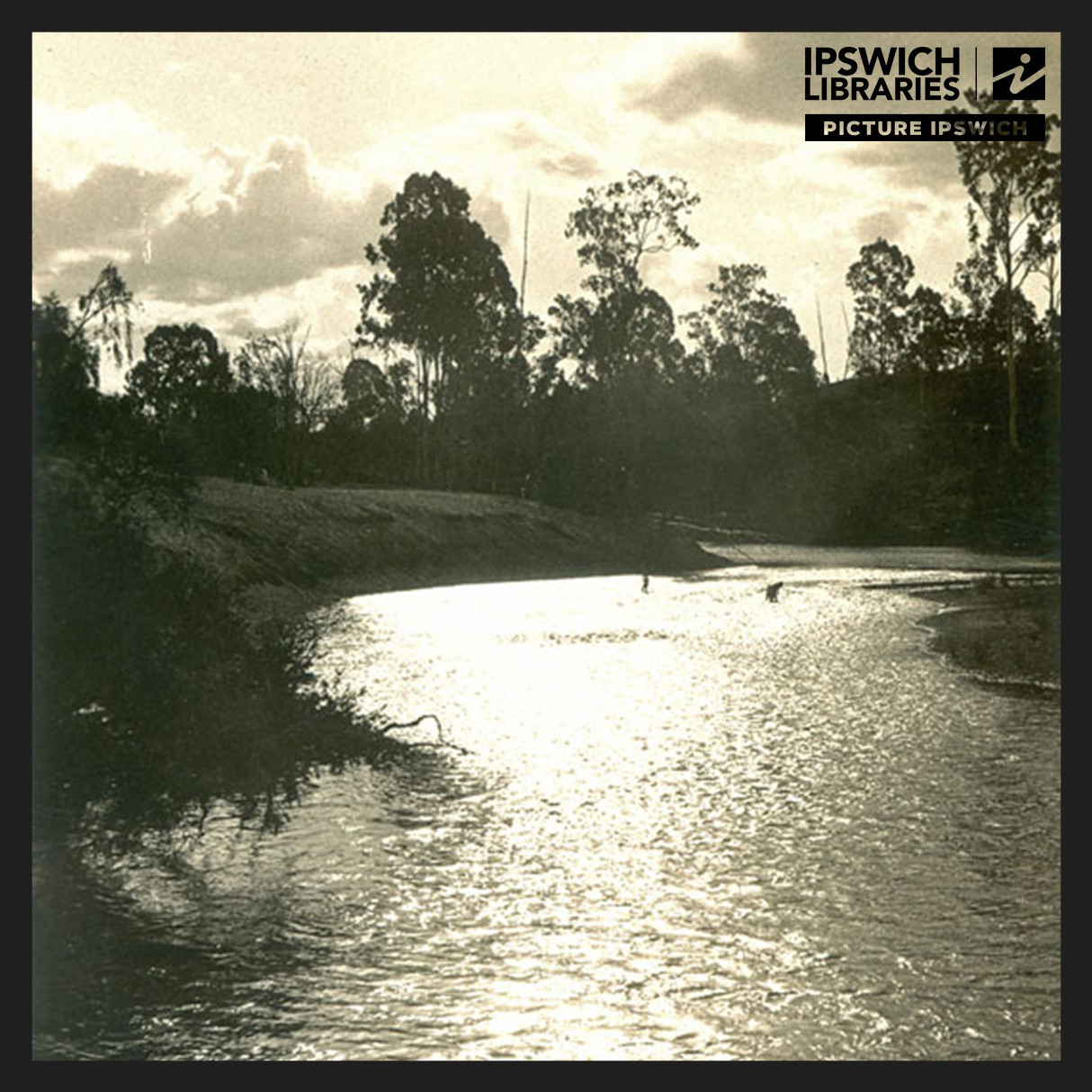 Maiwar | Brisbane River
