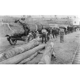 Loading timber at the Marburg railway yards, Marburg, Ipswich, 1918