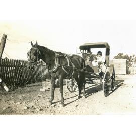 Jo Whittaker with grandchildren in his Phaeton carriage, Ipswich, 1930