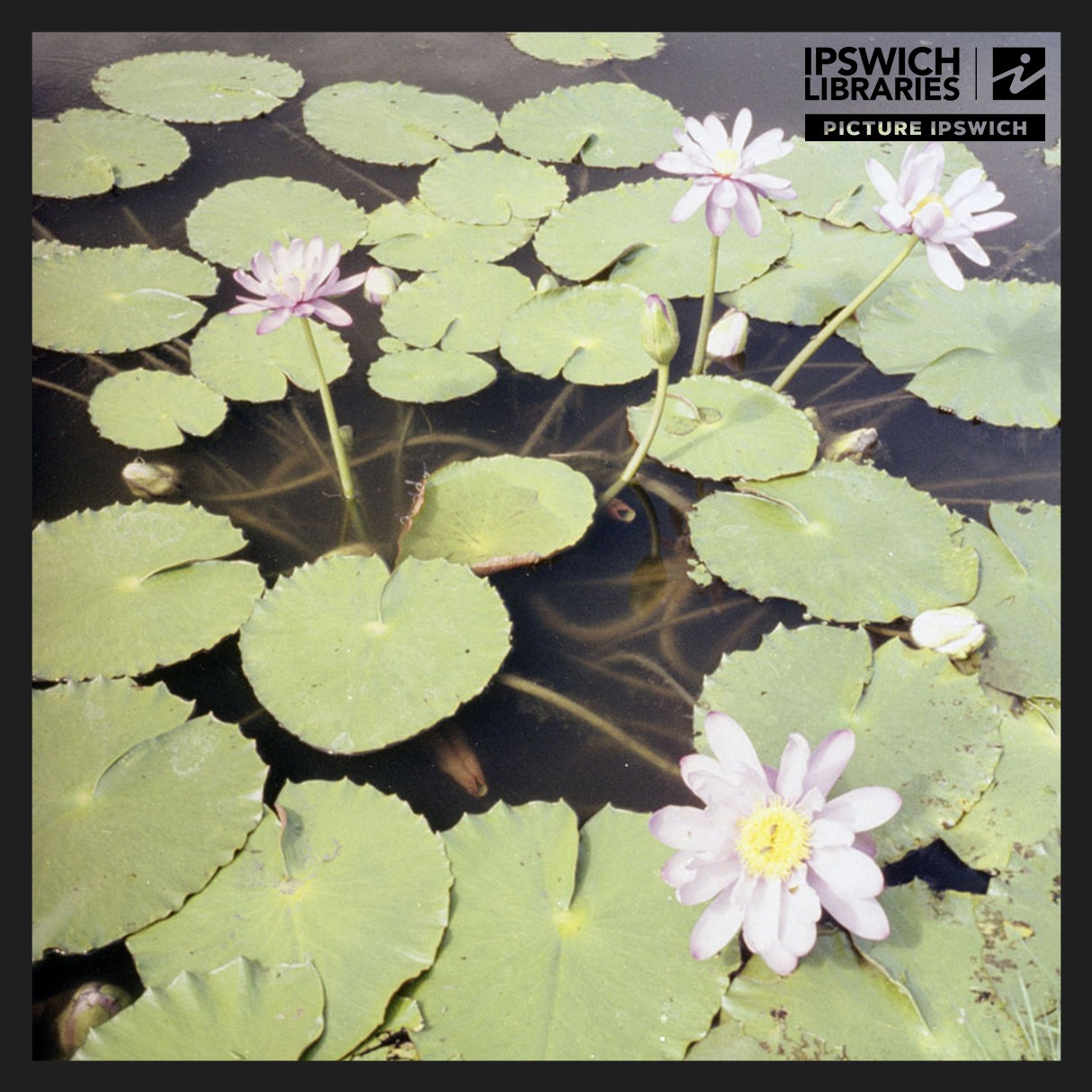 Colleges Crossing Recreation Reserve