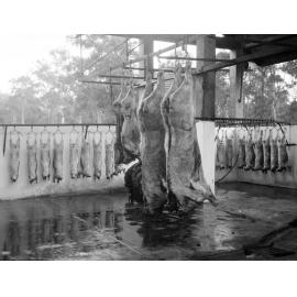 Churchill Abattoir slaughter house, Churchill, Ipswich, 1910s
