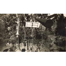 Some of the instruments played by Albert Edward (Bill) Booth in the backyard of his home at North Ipswich, 1938
