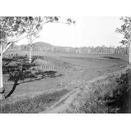 Country scene, with children on log, unknown location, possibly outside Ipswich, early 1900s