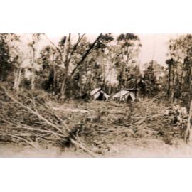 Tents used as accommodation by men employed as part of the 'Work for the Dole' scheme, during the depression, Dead Adder Gully, Chinchilla, 1932