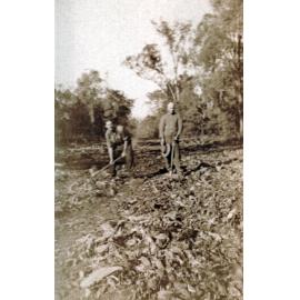 Two men land clearing for the 'Work for the Dole' scheme, Chinchilla, 1932