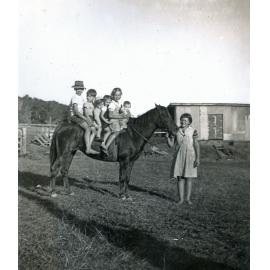 Unidentified children on a horse in the Rosewood Marburg, Ipswich area, 1952