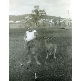 Young child with kangaroo in backyard of house at 42 Sydney Street, Brassall, Ipswich, 1957