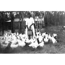 Feeding the chickens at a home in Redbank, Ipswich, c.1920
