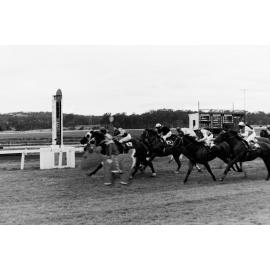 Shelven & Rudolph explore Ipswich, Christmas 2020