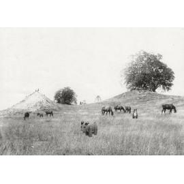 Shelven & Rudolph explore Ipswich, Christmas 2020