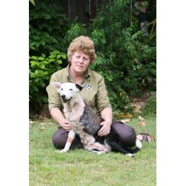 Gatton Veterinary Surgery animals, Gatton, November 2010 