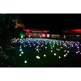 Christmas in Ipswich: St Nicholas Precinct, Nicholas Street Precinct & Tulmur Place, Ipswich, 2021