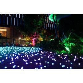 Christmas in Ipswich: St Nicholas Precinct, Nicholas Street Precinct & Tulmur Place, Ipswich, 2021