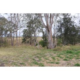 Archaeological dig at the site of the former Bremer Mills, Bundamba, 2021