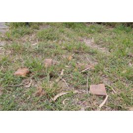 Archaeological dig at the site of the former Bremer Mills, Bundamba, 2021