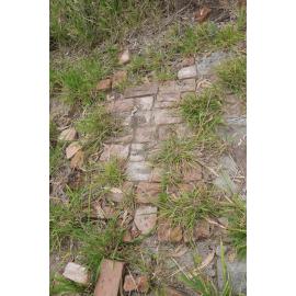 Archaeological dig at the site of the former Bremer Mills, Bundamba, 2021