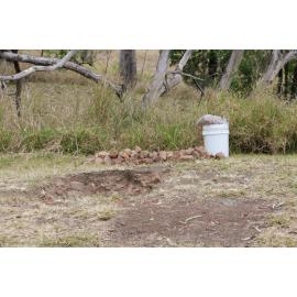 Archaeological dig at the site of the former Bremer Mills, Bundamba, 2021