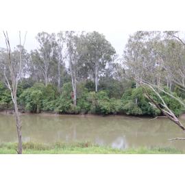 Archaeological dig at the site of the former Bremer Mills, Bundamba, 2021