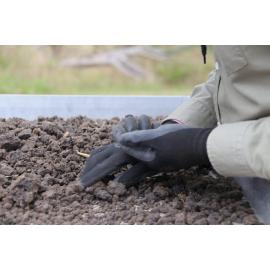 Archaeological dig at the site of the former Bremer Mills, Bundamba, 2021
