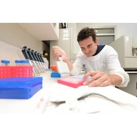 Research and development manager for the Animal Genetics Laboratory at UQ Gatton Sean Corley, Gatton, January 2013