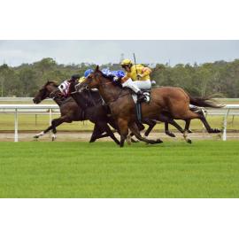 David Green (yellow silks) rides Ervbefel to win in the Terry Neale Memorial Handicap, Ipswich Turf Club, Bundamba, Ipswich, January 2013