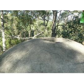 Brynhyfryd site, 2015