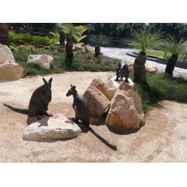 Nicholas Street Precinct at Tulmur Place, Cultural Garden, Brush-tailed Rock Wallabies, 2021