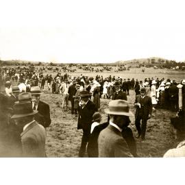 Crowd at Marburg Showgrounds, Marburg, c.1930