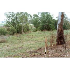 View towards Bundamba Racecourse, Bundamba, Ipswich, 1991