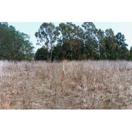 View towards Bundamba Creek, near Graham Road, Blackstone, Ipswich, 1991