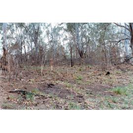 Looking up hill away from Bundamba Creek, Bundamba, Ipswich, 1991
