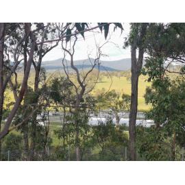 View from Spear Lily Park, 2021