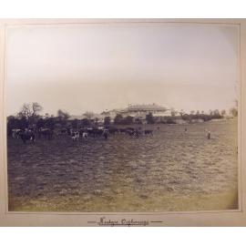 Nudgee Orphanage, Boondall, Brisbane, 1904