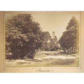 Thought to be the grounds of St Vincent's Convent, Nudgee, Brisbane, 1904
