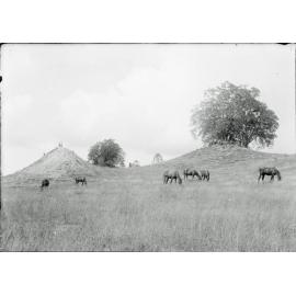 Cunningham's Knoll, Ipswich, 1899