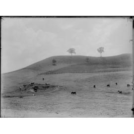 Two Tree Hill, Tallegalla, c.1900