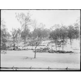 Unknown location, possibly Redbank, c.1900s
