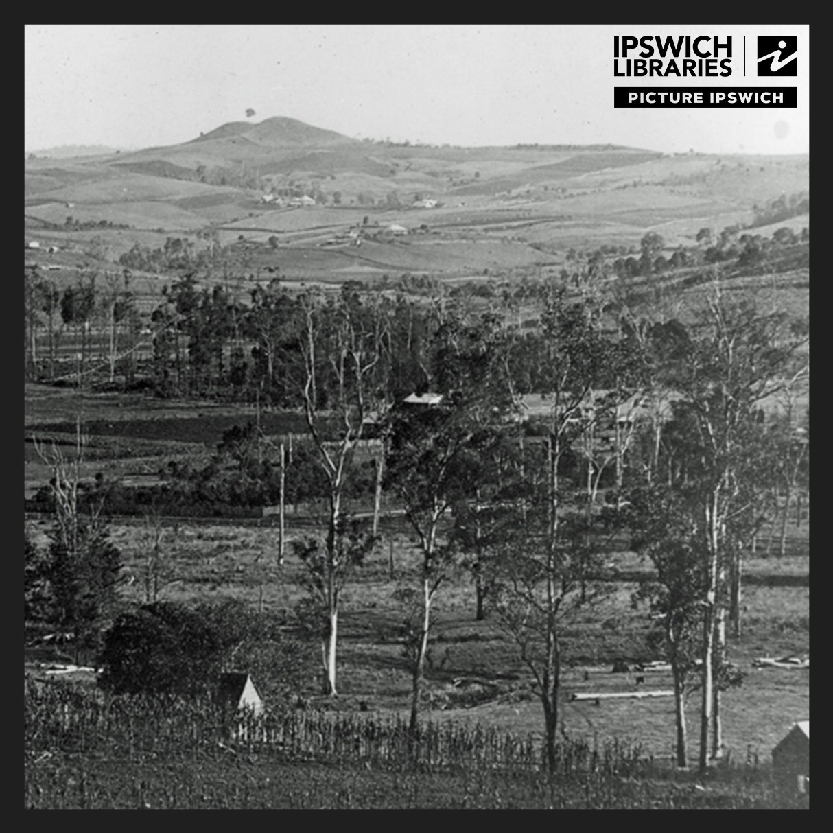 Woodlands of Marburg