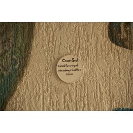 Bottle Alley Mural, Ipswich, 2017