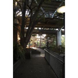 Bradfield Bridge, from Riverheart Parklands, Ipswich, 2017