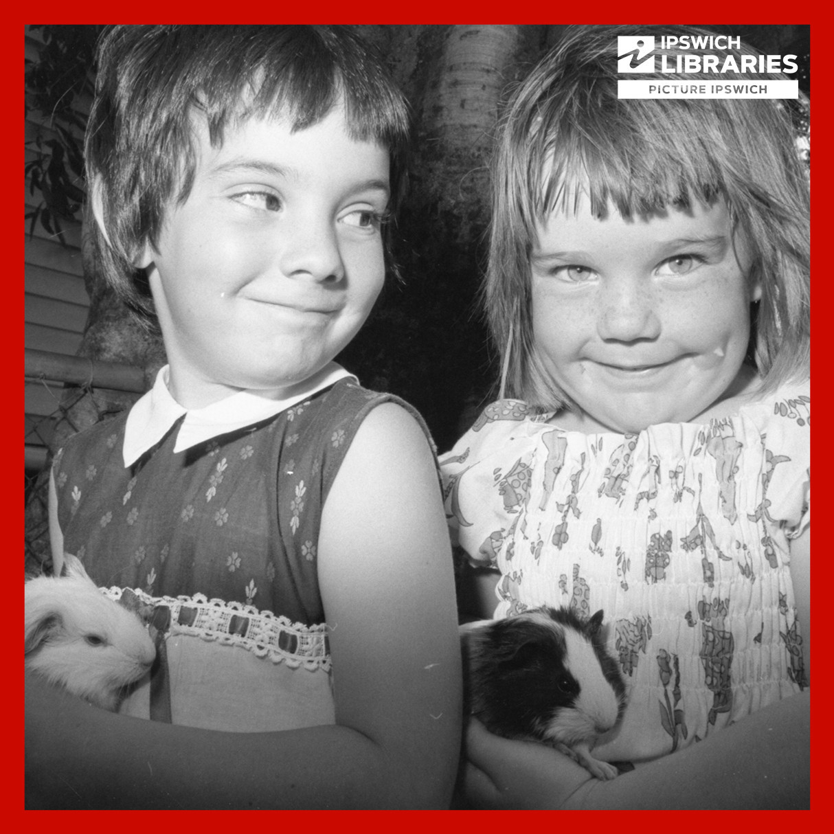 November 1977 - Queensland Times