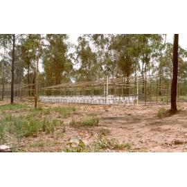 Construction of toilet block for Scout Jamboree held at Collingwood Park, Ipswich, 1982