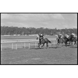 Horse Race, Ipswich Turf Club, Bundamba, September 1987