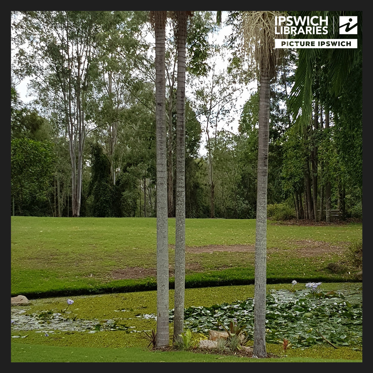Kholo Gardens