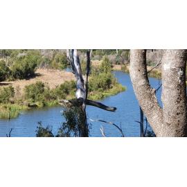 Kholo Gardens - River View, 2020