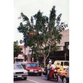 Streetscapes -  Brisbane Street, Ipswich, 1998
