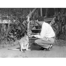 H. L. Jones with 'Lulu' the pet wallaby at Oakleigh (house), Redbank Plains, Ipswich, 1920