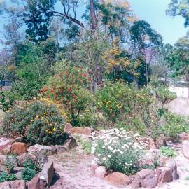 House garden in Queen Street, Goodna, Ipswich, 1970s
