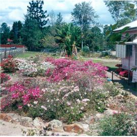 House garden in Queen Street, Goodna, Ipswich, 1970s